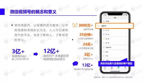 汪小菲性格爆料视频下载,视频爆料展现真实自我  第2张