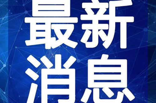 王六堡爆料视频最新版本,事件全貌再掀波澜
