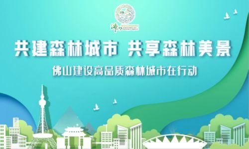佛山新闻爆料有用吗,助力城市治理，共建和谐家园  第2张