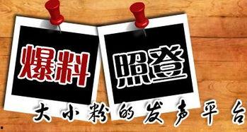 宁波新闻爆料平台有哪些,聚焦民声，传递资讯的窗口  第2张