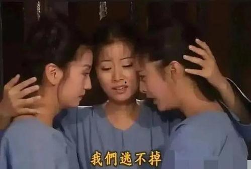 娱乐圈工作吃瓜,揭秘幕后吃瓜大揭秘  第3张