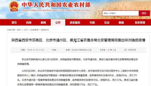 竹山农香最新爆料新闻视频,最新爆料视频深度解析  第2张 竹山农香最新爆料新闻视频,最新爆料视频深度解析  第2张
