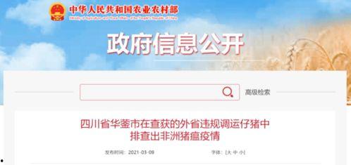 竹山农香最新爆料新闻视频,最新爆料视频深度解析  第3张 竹山农香最新爆料新闻视频,最新爆料视频深度解析  第3张