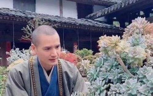 和尚爆料图片大全集视频,图片大全集视频背后的惊人真相  第3张 和尚爆料图片大全集视频,图片大全集视频背后的惊人真相  第3张