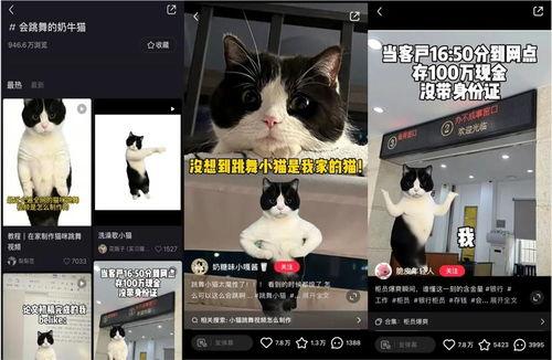 emo视频爆料  第3张 emo视频爆料  第3张