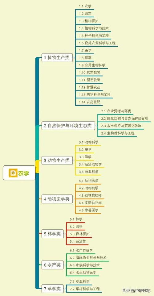 爆料烧烤西施视频大全集,火辣瞬间,尽收眼底