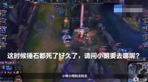 四川爆料者道歉视频大全,反思与成长之路
