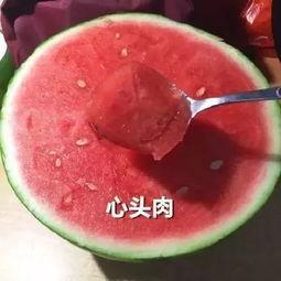 被吃瓜的医美网红有哪些,被吃瓜的医美网红风云录  第2张 被吃瓜的医美网红有哪些,被吃瓜的医美网红风云录  第2张