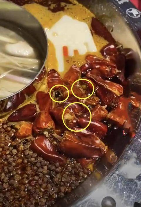 某火锅店爆料视频大全,揭秘行业幕后真相  第2张 某火锅店爆料视频大全,揭秘行业幕后真相  第2张