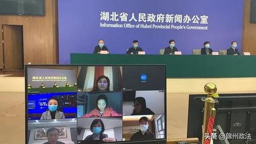 辽宁记者爆料事件视频,真相揭露与舆论风暴 第2张 辽宁记者爆料事件视频,真相揭露与舆论风暴 第2张