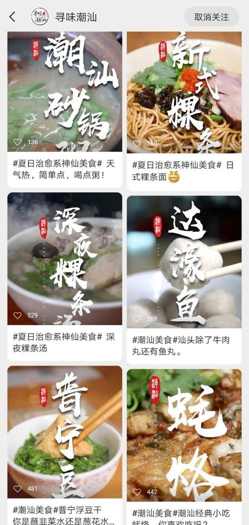 潮汕实时爆料视频,视频揭秘当地风情与文化