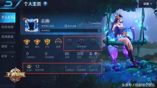 王者诺雅爆料最新消息,最新游戏动态大揭秘！  第2张