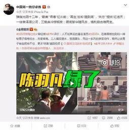 饭圈大佬爆料事件视频播放,揭秘娱乐圈幕后真相  第3张